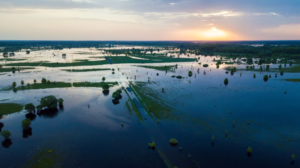 Flooded country road and flooded meadow at sunset.