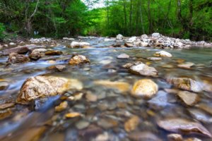 Close up of stream flowing over rocks in forested area.