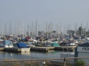 Marina with many docked boats.