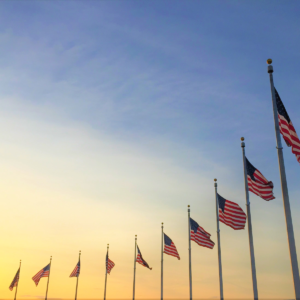 Row of many United States flags with sunset in the background.