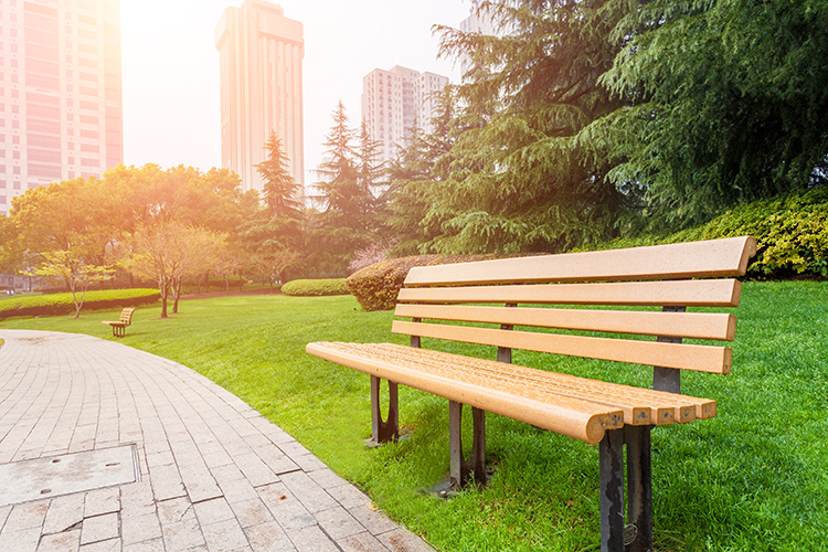 Wooden park bench on green grass facing paved path on a sunny day.