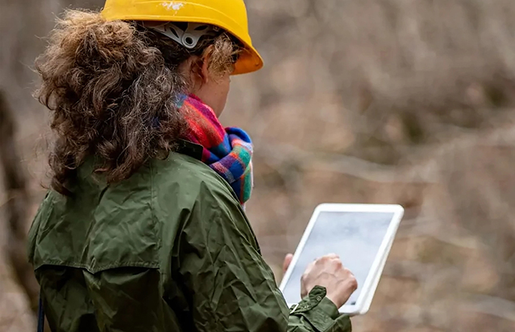 Forester working on digital tablet outdoors.