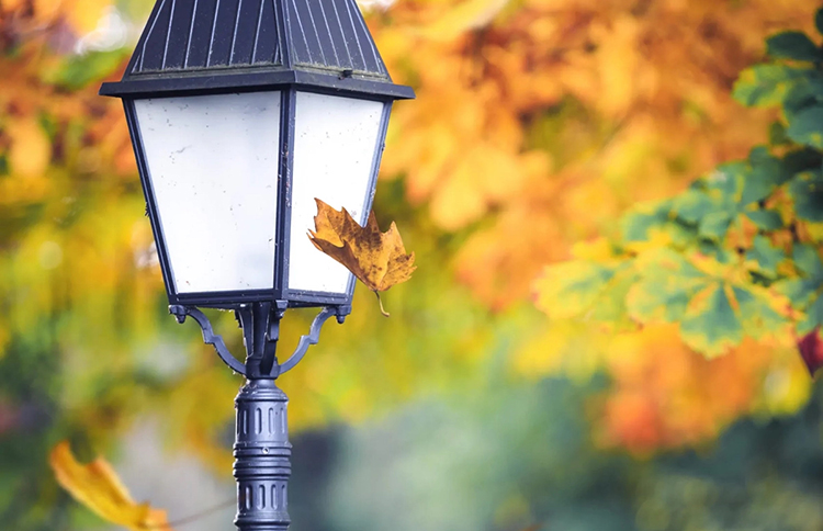 Close up of black metal lamp post with Autumn leaves falling in background.