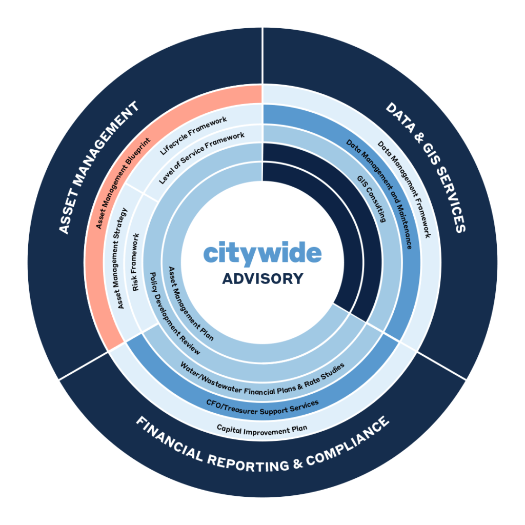Advisory services overview chart