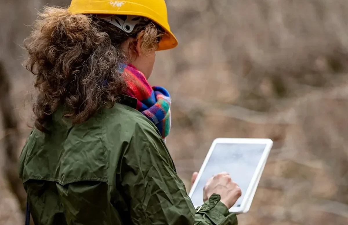 forester-foreman-using-digital-tablet-when-working-and-supervising-in-picture-id1298404528